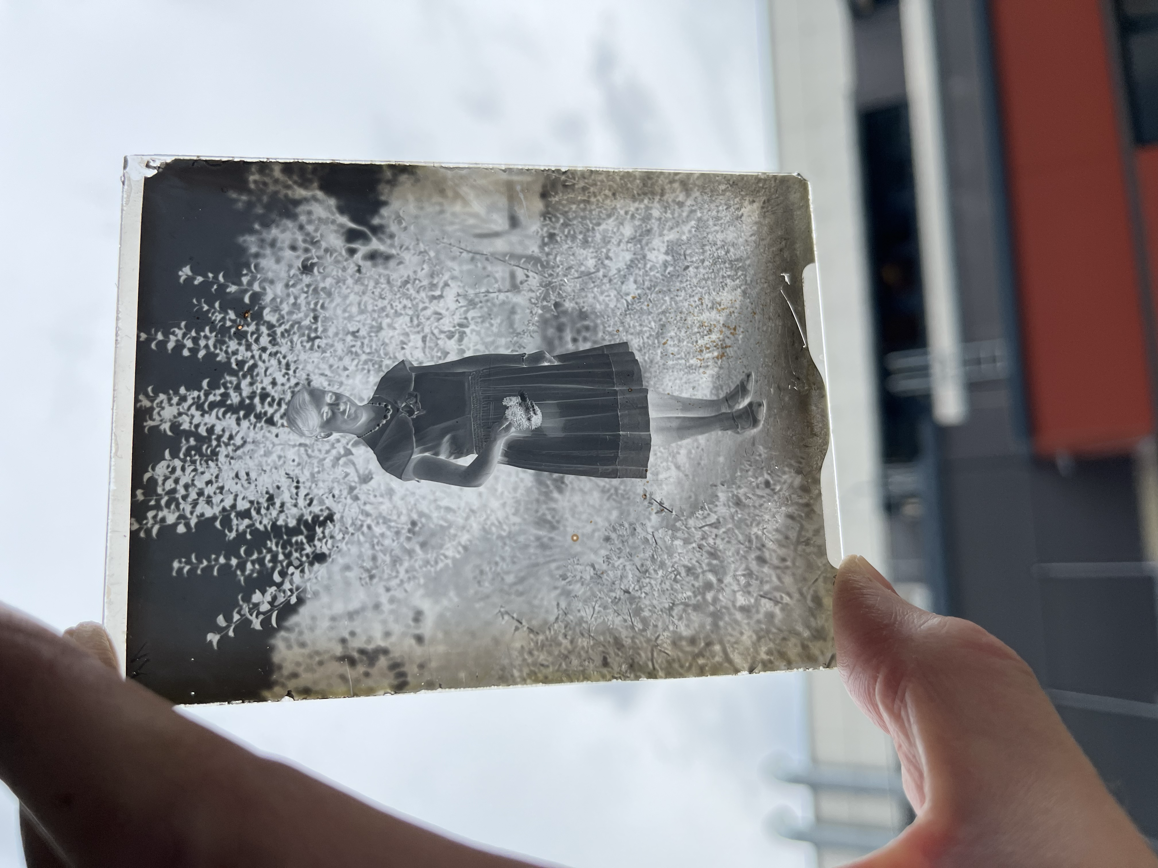 Fotoplatte gegen das Licht (Fenster) gehalten